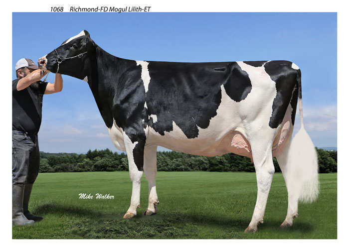 Richmond FD Mogul Lilith ET